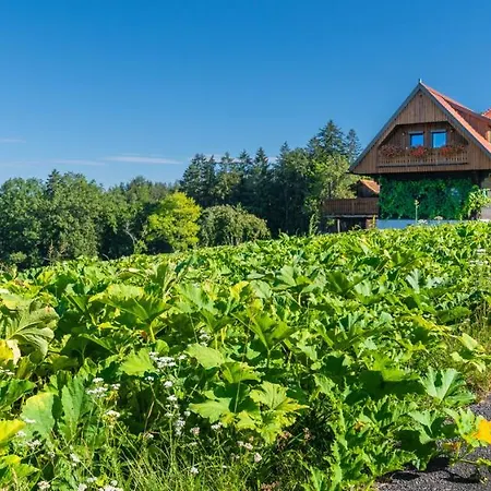 Apartment Lannach Apartment Lannach